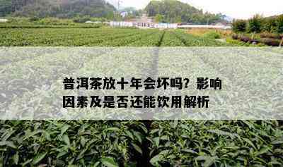 普洱茶放十年会坏吗？影响因素及是否还能饮用解析