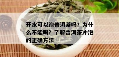 开水可以泡普洱茶吗？为什么不能喝？了解普洱茶冲泡的正确方法