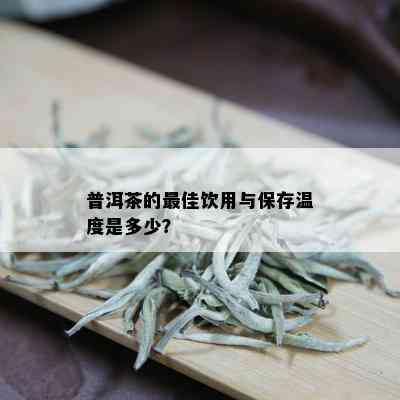 普洱茶的更佳饮用与保存温度是多少？