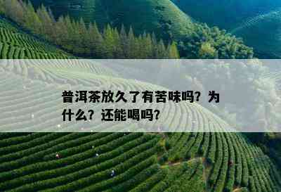 普洱茶放久了有苦味吗？为什么？还能喝吗？