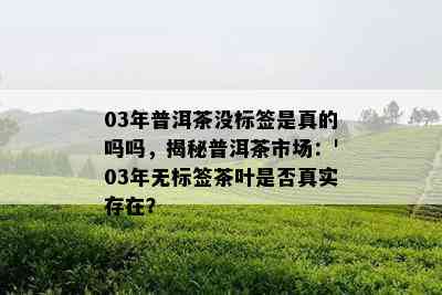 03年普洱茶没标签是真的吗吗，揭秘普洱茶市场：'03年无标签茶叶是否真实存在？