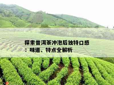 探索普洱茶冲泡后独特口感：味道、特点全解析