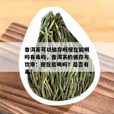 普洱茶可以储存吗现在能喝吗有吗，普洱茶的储存与饮用：现在能喝吗？是否有？