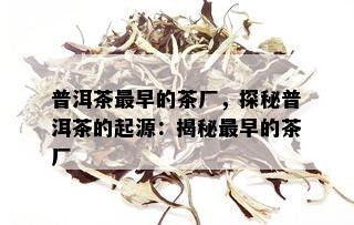 普洱茶最早的茶厂，探秘普洱茶的起源：揭秘最早的茶厂