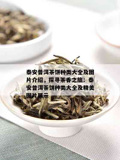 泰安普洱茶饼种类大全及图片介绍，探寻茶香之旅：泰安普洱茶饼种类大全及精美图片展示