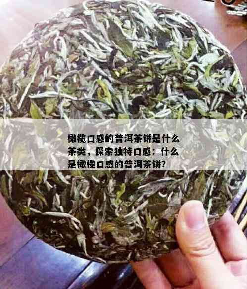 橄榄口感的普洱茶饼是什么茶类，探索独特口感：什么是橄榄口感的普洱茶饼？