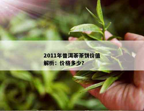 2011年普洱茶茶饼价值解析：价格多少？