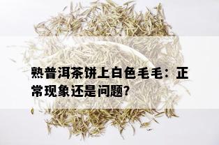 熟普洱茶饼上白色毛毛：正常现象还是问题？