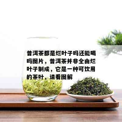 普洱茶都是烂叶子吗还能喝吗图片，普洱茶并非全由烂叶子制成，它是一种可饮用的茶叶，请看图解