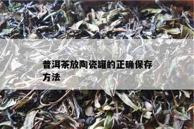 普洱茶放陶瓷罐的正确保存方法