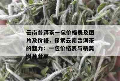 云南普洱茶一包价格表及图片及价格，探索云南普洱茶的魅力：一包价格表与精美图片分享