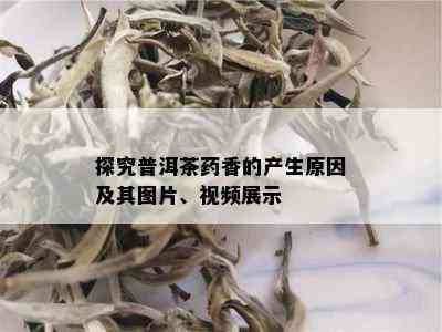 探究普洱茶药香的产生原因及其图片、视频展示