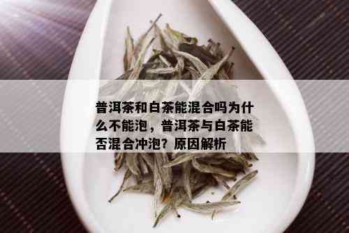 普洱茶和白茶能混合吗为什么不能泡，普洱茶与白茶能否混合冲泡？原因解析