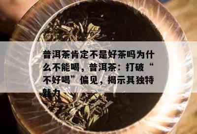 普洱茶肯定不是好茶吗为什么不能喝，普洱茶：打破“不好喝”偏见，揭示其独特魅力