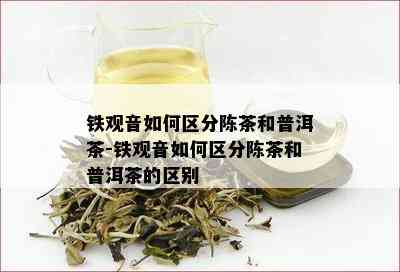 铁观音如何区分陈茶和普洱茶-铁观音如何区分陈茶和普洱茶的区别