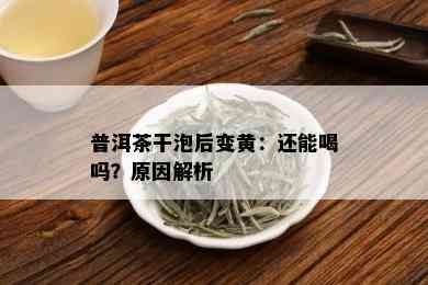 普洱茶干泡后变黄：还能喝吗？原因解析