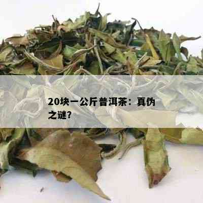 20块一公斤普洱茶：真伪之谜？