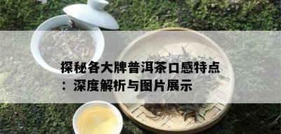 探秘各大牌普洱茶口感特点：深度解析与图片展示