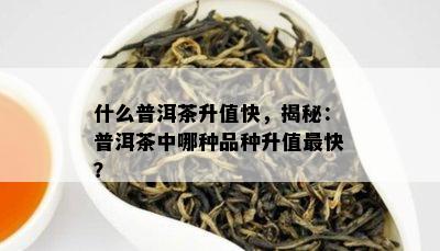 什么普洱茶升值快，揭秘：普洱茶中哪种品种升值最快？