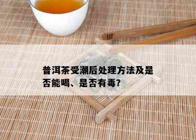 普洱茶受潮后处理方法及是否能喝、是否有？