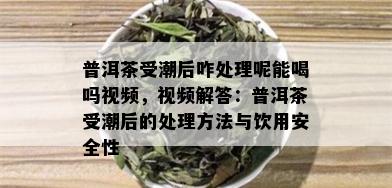 普洱茶受潮后咋处理呢能喝吗视频，视频解答：普洱茶受潮后的处理方法与饮用安全性