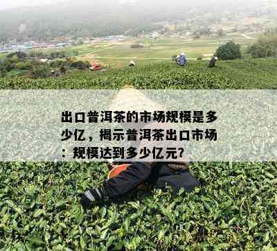 出口普洱茶的市场规模是多少亿，揭示普洱茶出口市场：规模达到多少亿元？