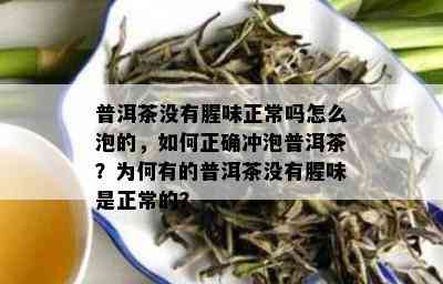 普洱茶没有腥味正常吗怎么泡的，如何正确冲泡普洱茶？为何有的普洱茶没有腥味是正常的？