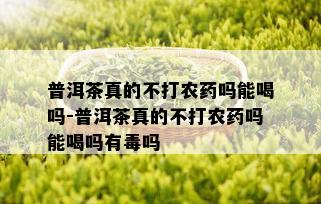 普洱茶真的不打农药吗能喝吗-普洱茶真的不打农药吗能喝吗有吗