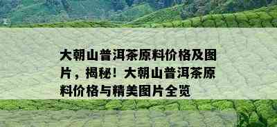 大朝山普洱茶原料价格及图片，揭秘！大朝山普洱茶原料价格与精美图片全览