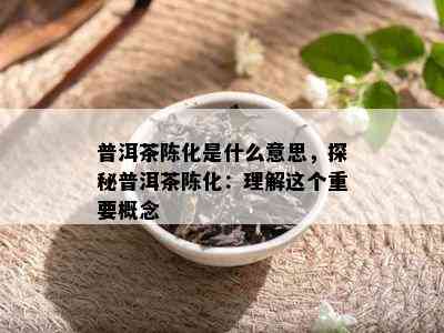 普洱茶陈化是什么意思，探秘普洱茶陈化：理解这个重要概念