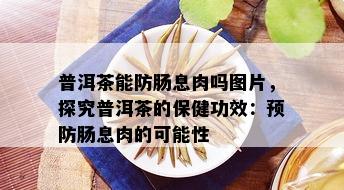 普洱茶能防肠息肉吗图片，探究普洱茶的保健功效：预防肠息肉的可能性