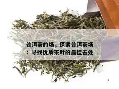 普洱茶的场，探索普洱茶场：寻找优质茶叶的更佳去处