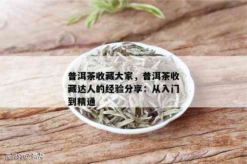 普洱茶收藏大家，普洱茶收藏达人的经验分享：从入门到精通