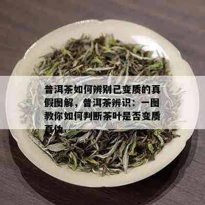 普洱茶如何辨别已变质的真假图解，普洱茶辨识：一图教你如何判断茶叶是否变质真伪