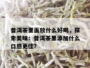 普洱茶里面放什么好喝，探索美味：普洱茶里添加什么口感更佳？