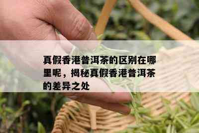 真假香港普洱茶的区别在哪里呢，揭秘真假香港普洱茶的差异之处