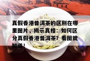 真假香港普洱茶的区别在哪里图片，揭示真相：如何区分真假香港普洱茶？看图就知道！