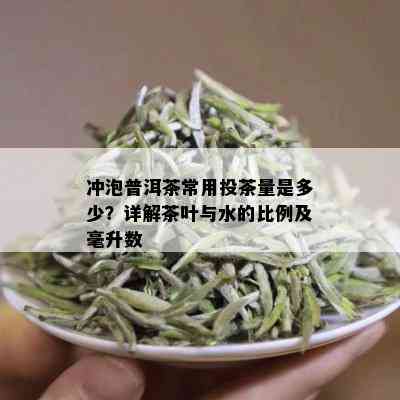 冲泡普洱茶常用投茶量是多少？详解茶叶与水的比例及毫升数