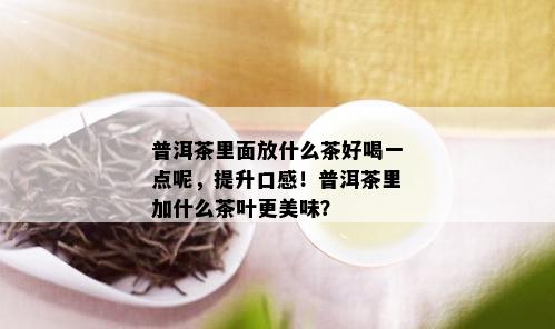 普洱茶里面放什么茶好喝一点呢，提升口感！普洱茶里加什么茶叶更美味？