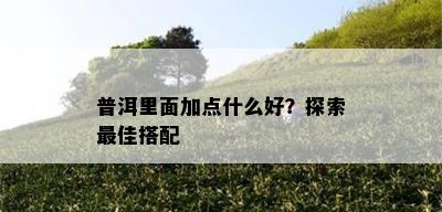 普洱里面加点什么好？探索更佳搭配