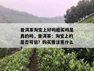 普洱茶淘宝上好吗能买吗是真的吗，普洱茶：淘宝上的是否可信？购买需注意什么？