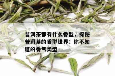 普洱茶都有什么香型，探秘普洱茶的香型世界：你不知道的香气类型