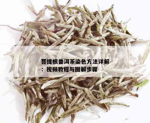 菩提根普洱茶染色方法详解：视频教程与图解步骤