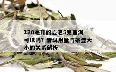 120毫升的壶泡5克普洱可以吗？普洱用量与茶壶大小的关系解析