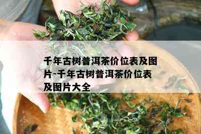 千年古树普洱茶价位表及图片-千年古树普洱茶价位表及图片大全