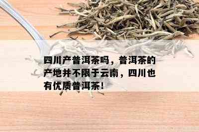 四川产普洱茶吗，普洱茶的产地并不限于云南，四川也有优质普洱茶！