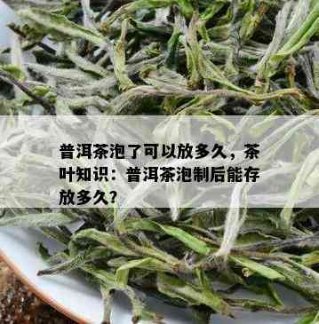 普洱茶泡了可以放多久，茶叶知识：普洱茶泡制后能存放多久？