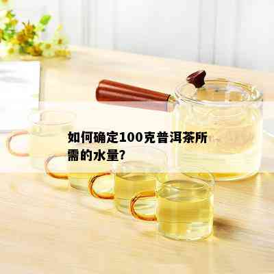 如何确定100克普洱茶所需的水量？