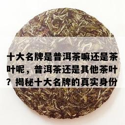 十大名牌是普洱茶嘛还是茶叶呢，普洱茶还是其他茶叶？揭秘十大名牌的真实身份