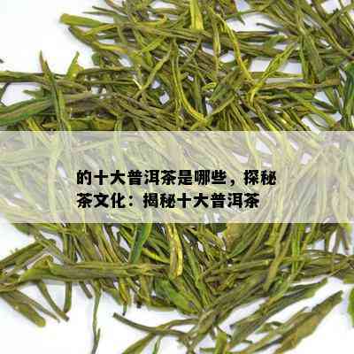 的十大普洱茶是哪些，探秘茶文化：揭秘十大普洱茶